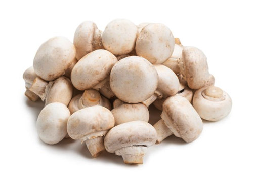 Champiñon